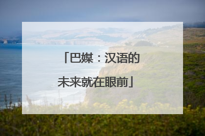 巴媒：汉语的未来就在眼前