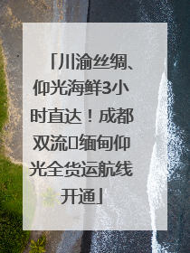 川渝丝绸、仰光海鲜3小时直达！成都双流⇌缅甸仰光全货运航线开通