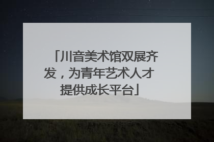川音美术馆双展齐发，为青年艺术人才提供成长平台