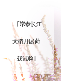常泰长江大桥开展荷载试验