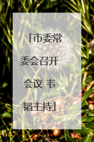 市委常委会召开会议 韦韬主持