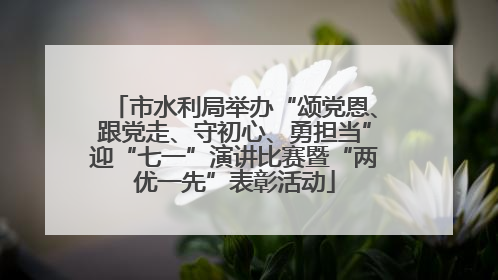 市水利局举办“颂党恩、跟党走、守初心、勇担当”迎“七一”演讲比赛暨“两优一先”表彰活动