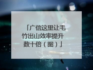广信这里让毛竹出山效率提升数十倍（图）