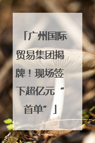 广州国际贸易集团揭牌！现场签下超亿元“首单”