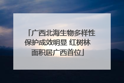 广西北海生物多样性保护成效明显 红树林面积居广西首位
