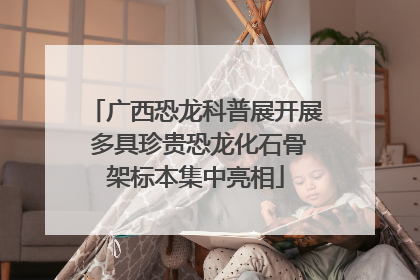 广西恐龙科普展开展 多具珍贵恐龙化石骨架标本集中亮相