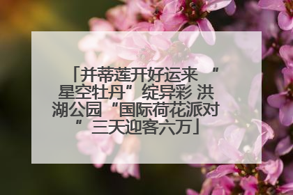 并蒂莲开好运来 “星空牡丹”绽异彩 洪湖公园“国际荷花派对”三天迎客六万