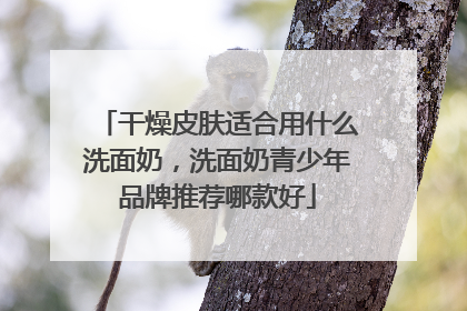 干燥皮肤适合用什么洗面奶，洗面奶青少年品牌推荐哪款好