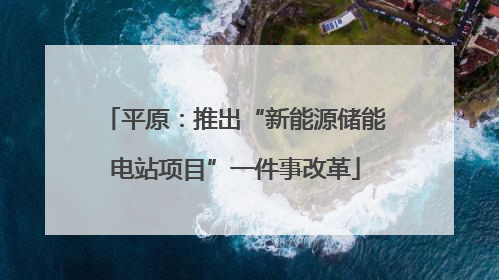 平原：推出“新能源储能电站项目”一件事改革