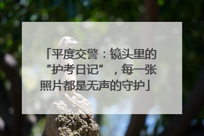 平度交警：镜头里的“护考日记”，每一张照片都是无声的守护