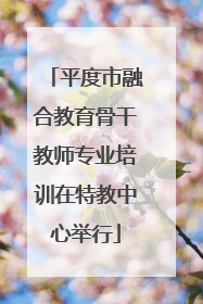平度市融合教育骨干教师专业培训在特教中心举行