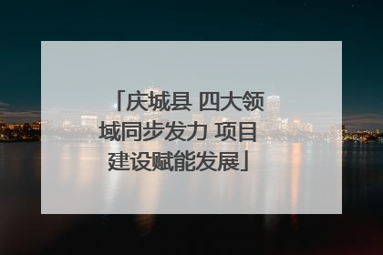 庆城县 四大领域同步发力 项目建设赋能发展
