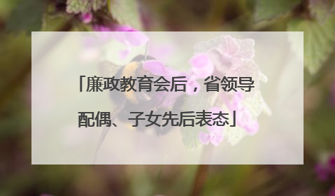 廉政教育会后，省领导配偶、子女先后表态