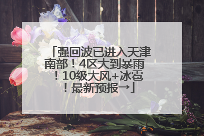 强回波已进入天津南部！4区大到暴雨！10级大风+冰雹！最新预报→