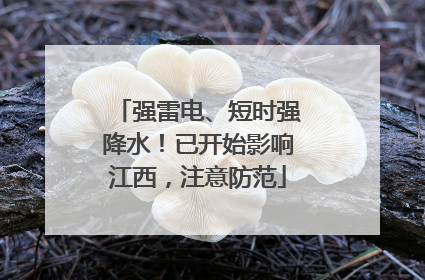 强雷电、短时强降水！已开始影响江西，注意防范