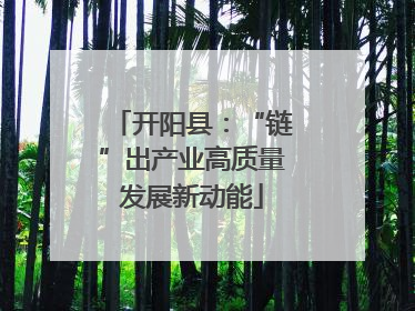 开阳县：“链”出产业高质量发展新动能