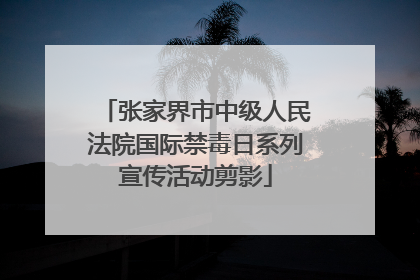 张家界市中级人民法院国际禁毒日系列宣传活动剪影