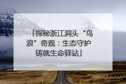 探秘浙江洞头“鸟浪”奇观：生态守护铸就生命驿站