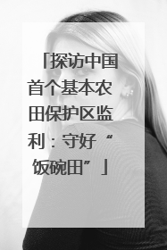 探访中国首个基本农田保护区监利：守好“饭碗田”