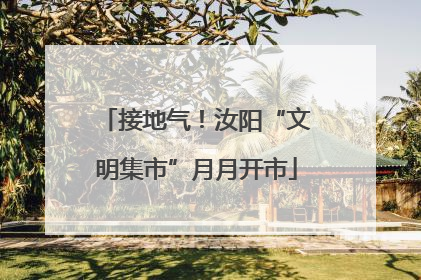接地气！汝阳“文明集市”月月开市