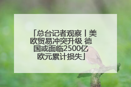 总台记者观察丨美欧贸易冲突升级 德国或面临2500亿欧元累计损失