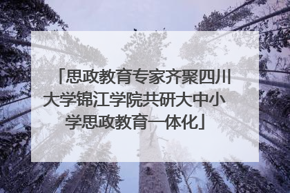 思政教育专家齐聚四川大学锦江学院共研大中小学思政教育一体化