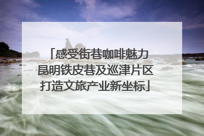 感受街巷咖啡魅力 昆明铁皮巷及巡津片区打造文旅产业新坐标