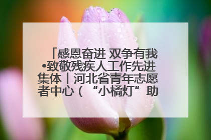 感恩奋进 双争有我•致敬残疾人工作先进集体丨河北省青年志愿者中心（“小橘灯”助残接力计划实施团队）：用温暖陪伴，守护特殊孩子成长