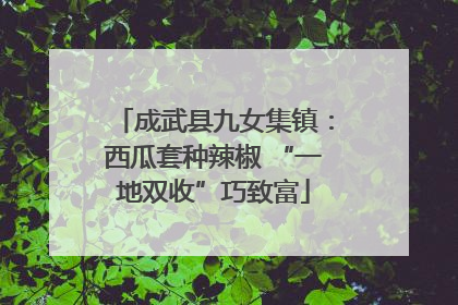 成武县九女集镇：西瓜套种辣椒 “一地双收”巧致富