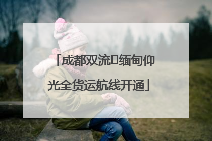 成都双流⇌缅甸仰光全货运航线开通