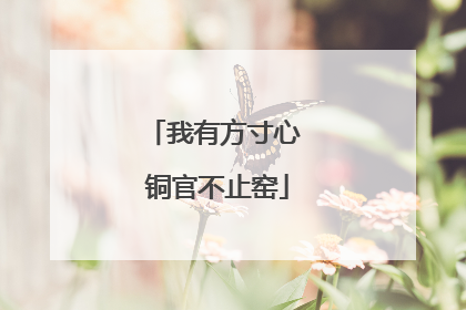 我有方寸心 铜官不止窑