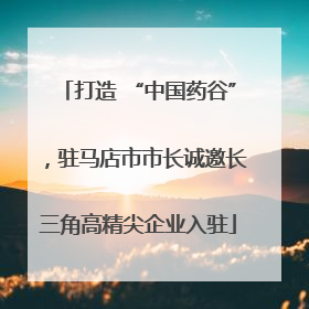 打造 “中国药谷”，驻马店市市长诚邀长三角高精尖企业入驻
