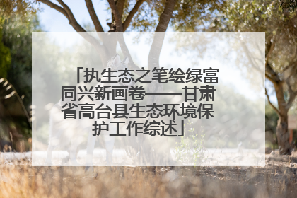 执生态之笔绘绿富同兴新画卷——甘肃省高台县生态环境保护工作综述
