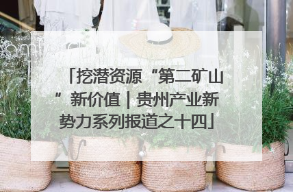 挖潜资源“第二矿山”新价值｜贵州产业新势力系列报道之十四