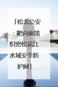 松北公安：靶向施策织密松花江水域安全防护网