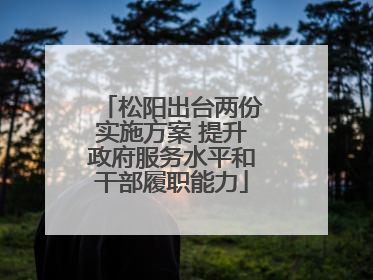 松阳出台两份实施方案 提升政府服务水平和干部履职能力