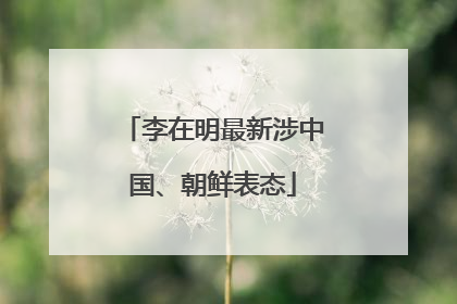 李在明最新涉中国、朝鲜表态
