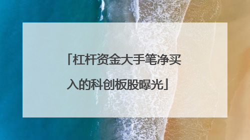 杠杆资金大手笔净买入的科创板股曝光