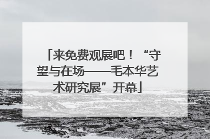 来免费观展吧！“守望与在场——毛本华艺术研究展”开幕