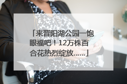 来晋阳湖公园一饱眼福吧！12万株百合花热烈绽放……