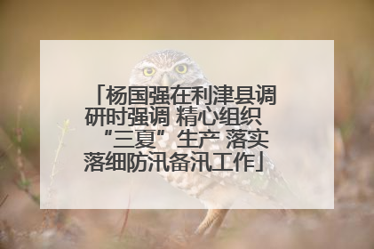 杨国强在利津县调研时强调 精心组织“三夏”生产 落实落细防汛备汛工作