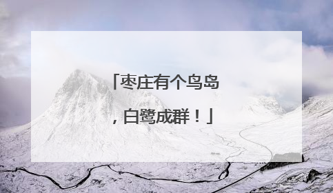 枣庄有个鸟岛，白鹭成群！
