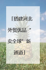 搭建河北外贸优品“卖全球”新通道