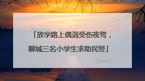 放学路上偶遇受伤夜鹭，聊城三名小学生求助民警
