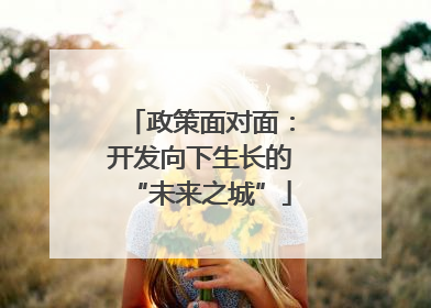 政策面对面：开发向下生长的“未来之城”