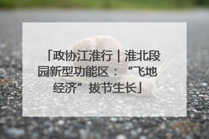 政协江淮行｜淮北段园新型功能区：“飞地经济”拔节生长