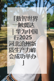 数智世界 一触冀达｜华为中国行2025河北沧州新质生产力峰会成功举办