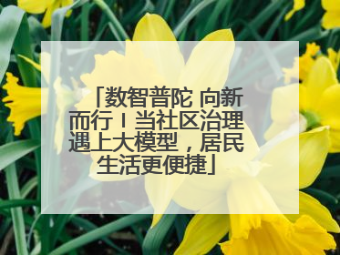 数智普陀 向新而行〡当社区治理遇上大模型，居民生活更便捷
