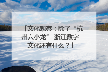 文化观察：除了“杭州六小龙” 浙江数字文化还有什么？