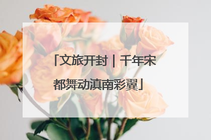 文旅开封｜千年宋都舞动滇南彩翼